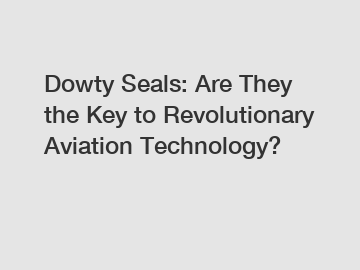 Dowty Seals: Are They the Key to Revolutionary Aviation Technology?