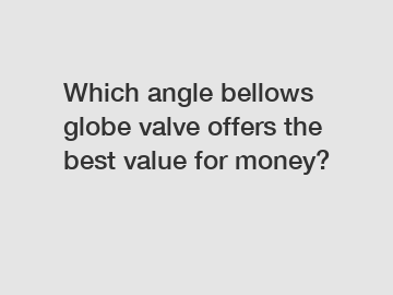 Which angle bellows globe valve offers the best value for money?