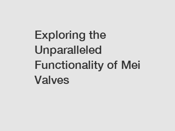 Exploring the Unparalleled Functionality of Mei Valves