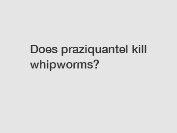 Does praziquantel kill whipworms?