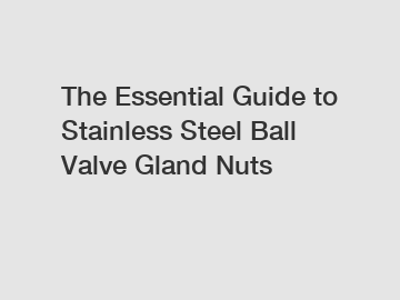 The Essential Guide to Stainless Steel Ball Valve Gland Nuts