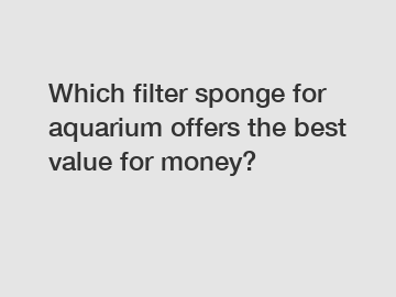 Which filter sponge for aquarium offers the best value for money?