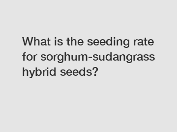 What is the seeding rate for sorghum-sudangrass hybrid seeds?