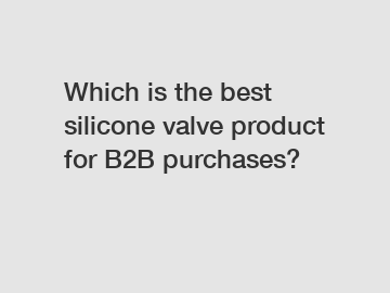 Which is the best silicone valve product for B2B purchases?